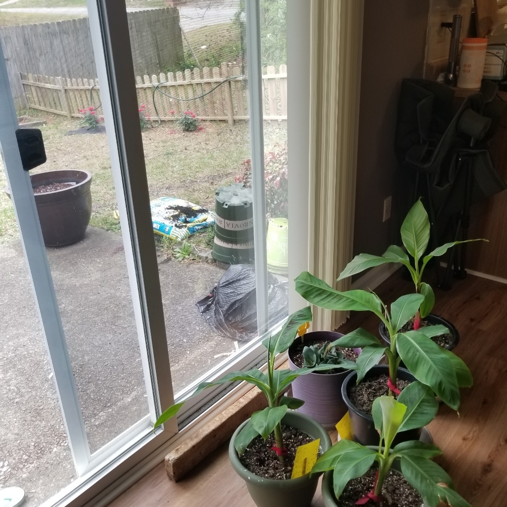 Selling never-worn/lightly used items.